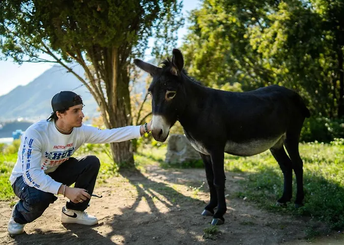 Montebello Bed & Breakfast Lecco