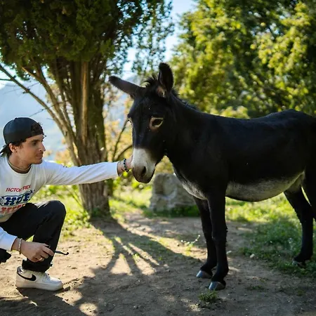 Montebello 住宿加早餐酒店 莱科